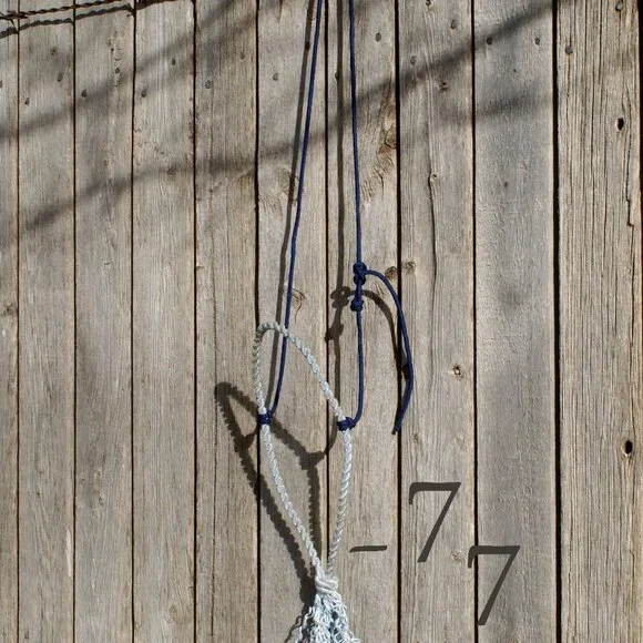 Bosalita Lariat Rope Western Pony Training Cavesson/Cowboy Caveson Noseband - Picture 2 of 3